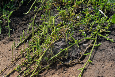 Similar image 21750483