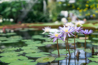 Similar image 21750484