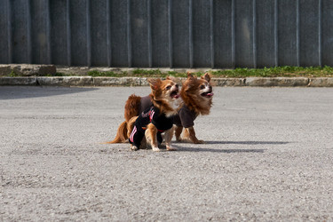 Similar image 21745311