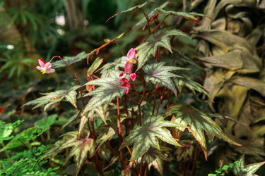 Similar image 21745316