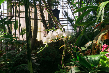 Similar image 21745318