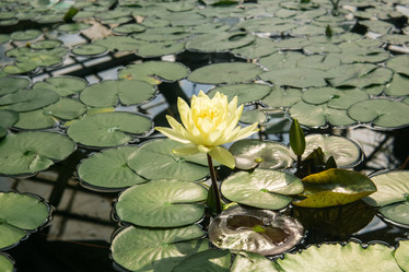 Similar image 21745325