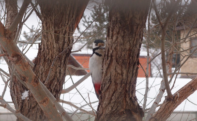 Similar image 21744214