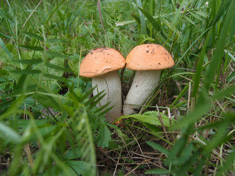 Similar image 21744241