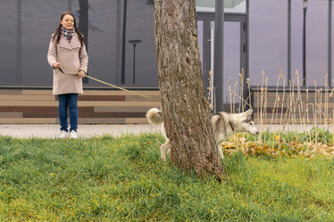 Similar image 21746831