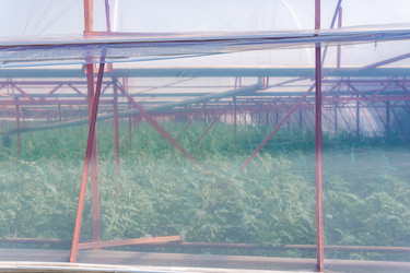 Similar image 21749544