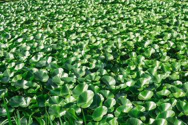 Similar image 21749545