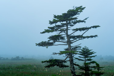 Similar image 21749546