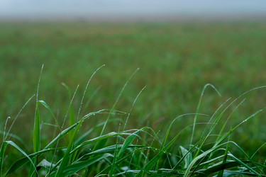 Similar image 21749549