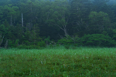 Similar image 21749552