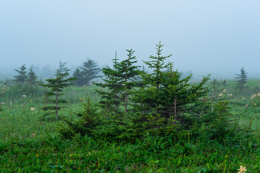 Similar image 21749558