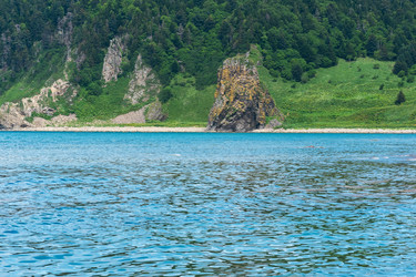 Similar image 21749566