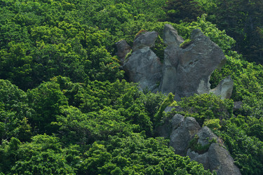 Similar image 21749568