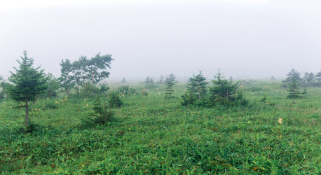 Similar image 21745524