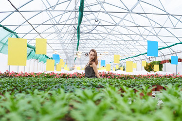 Similar image 21746408