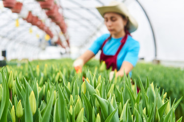 Similar image 21746412