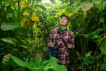 Similar image 21753205