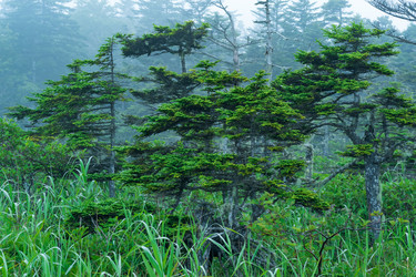 Similar image 21746591