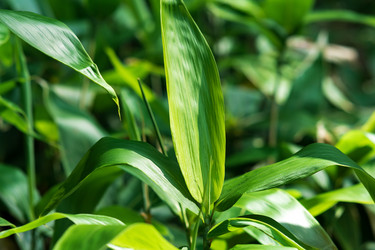 Similar image 21746597