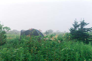 Similar image 21746599