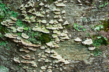 Similar image 21746603