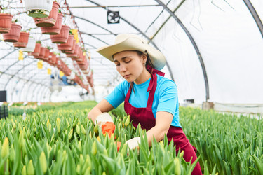 Similar image 21746613