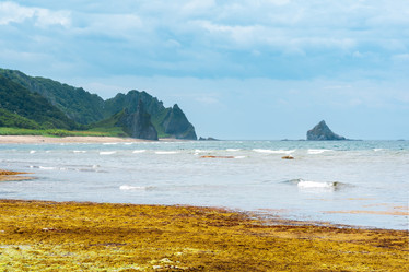 Similar image 21746617