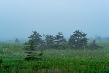 Similar image 21746619