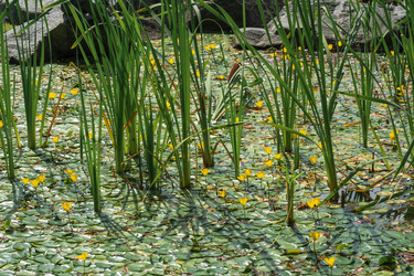 Similar image 21746845