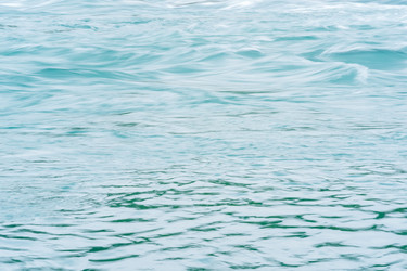 Similar image 21750499