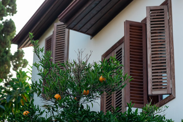 Similar image 21750911