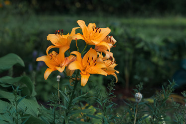 Similar image 21751160