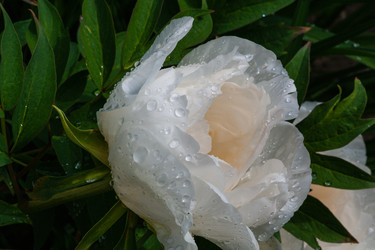 Similar image 21748128