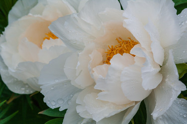 Similar image 21748129