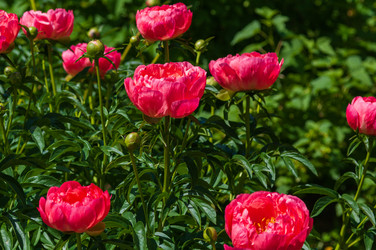 Similar image 21748130