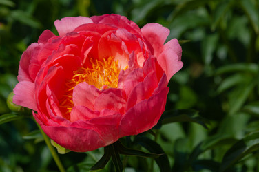 Similar image 21748131