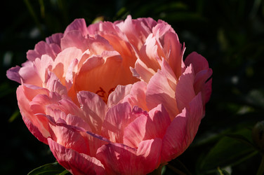 Similar image 21748132