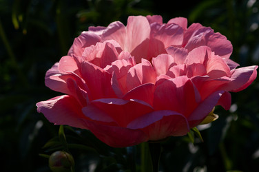 Similar image 21748133