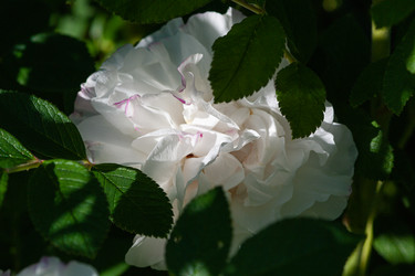 Similar image 21748134