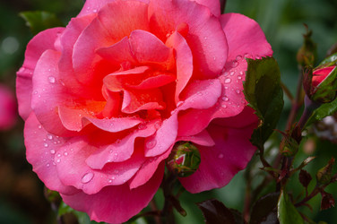 Similar image 21748135