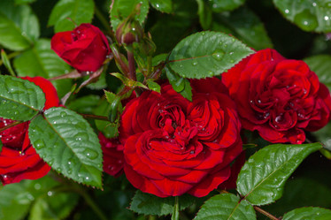 Similar image 21748137