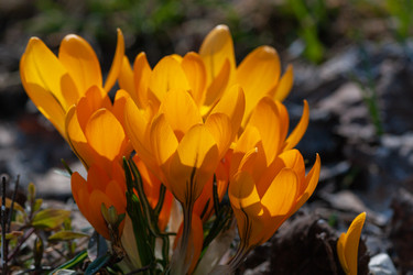 Similar image 21748138