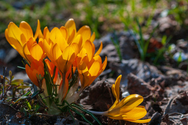 Similar image 21748139