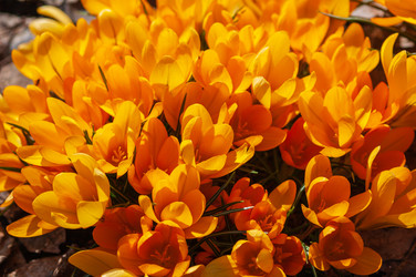 Similar image 21748140