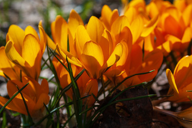 Similar image 21748141