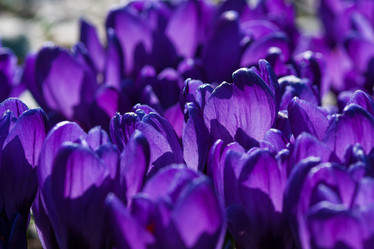 Similar image 21748143