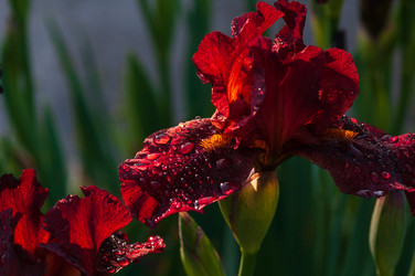 Similar image 21748144