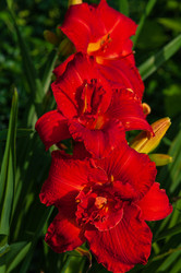 Similar image 21748145