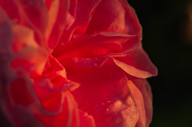 Similar image 21748146