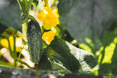 Similar image 21763473